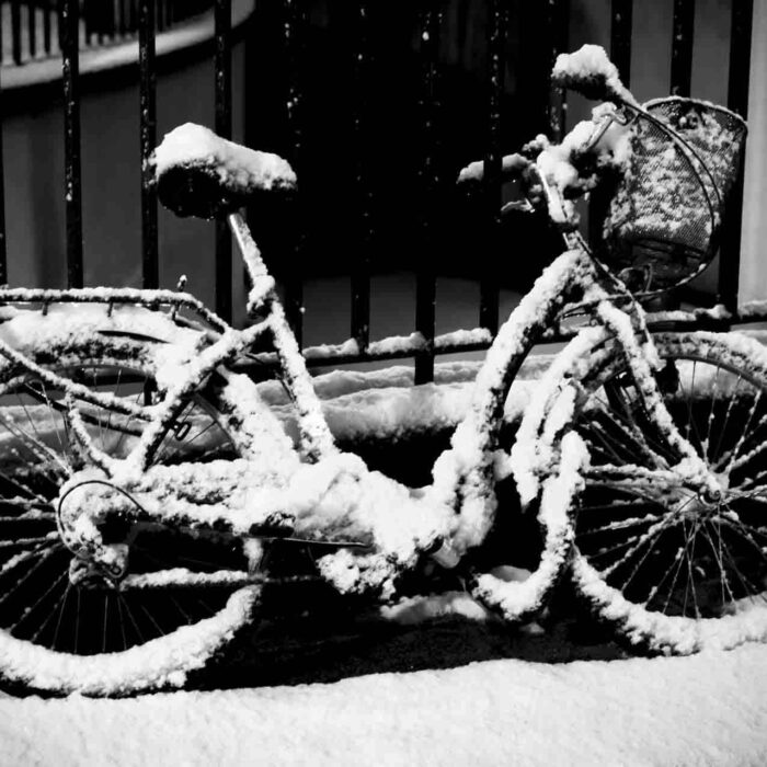 Au coeur de l'hiver