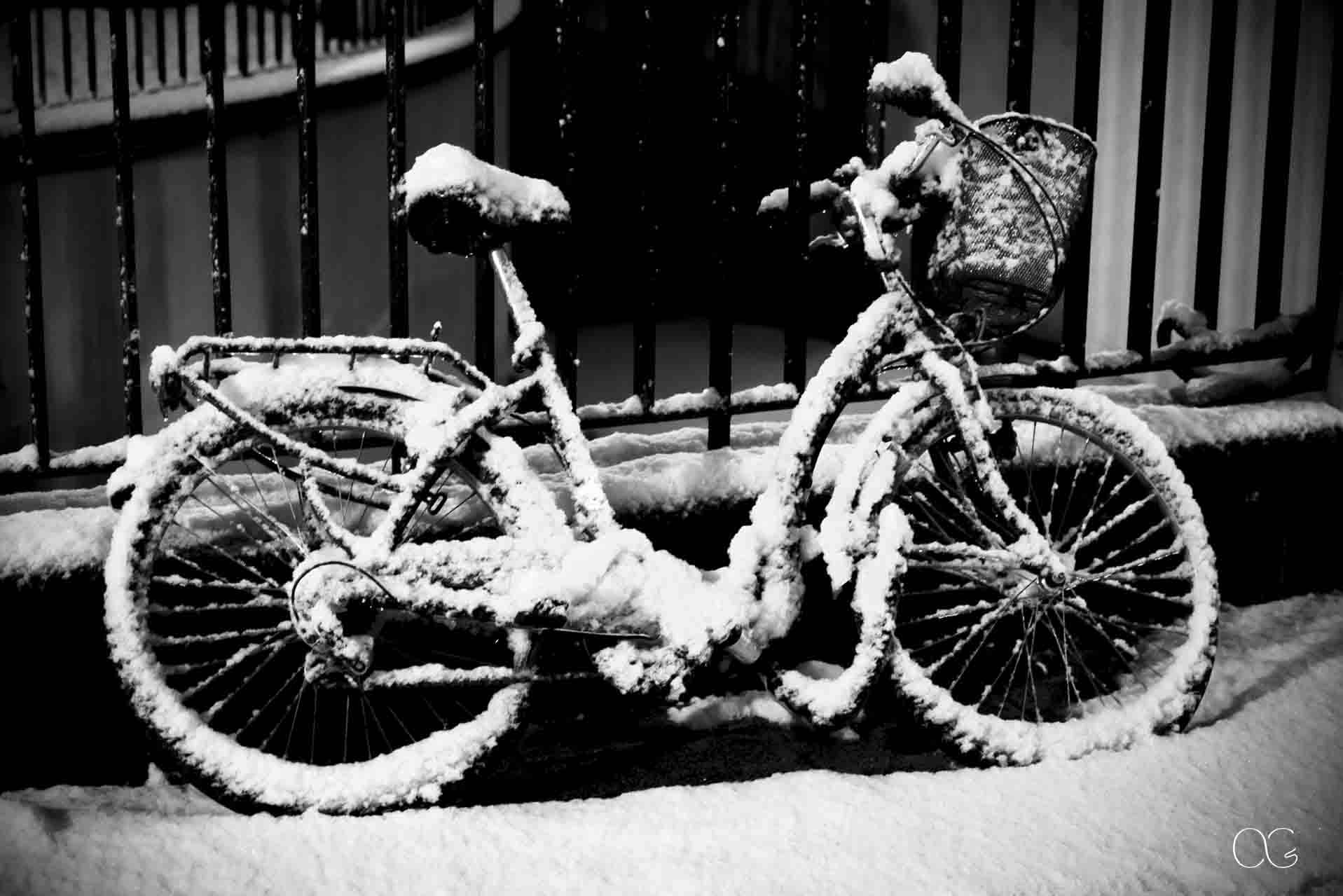Au coeur de l'hiver