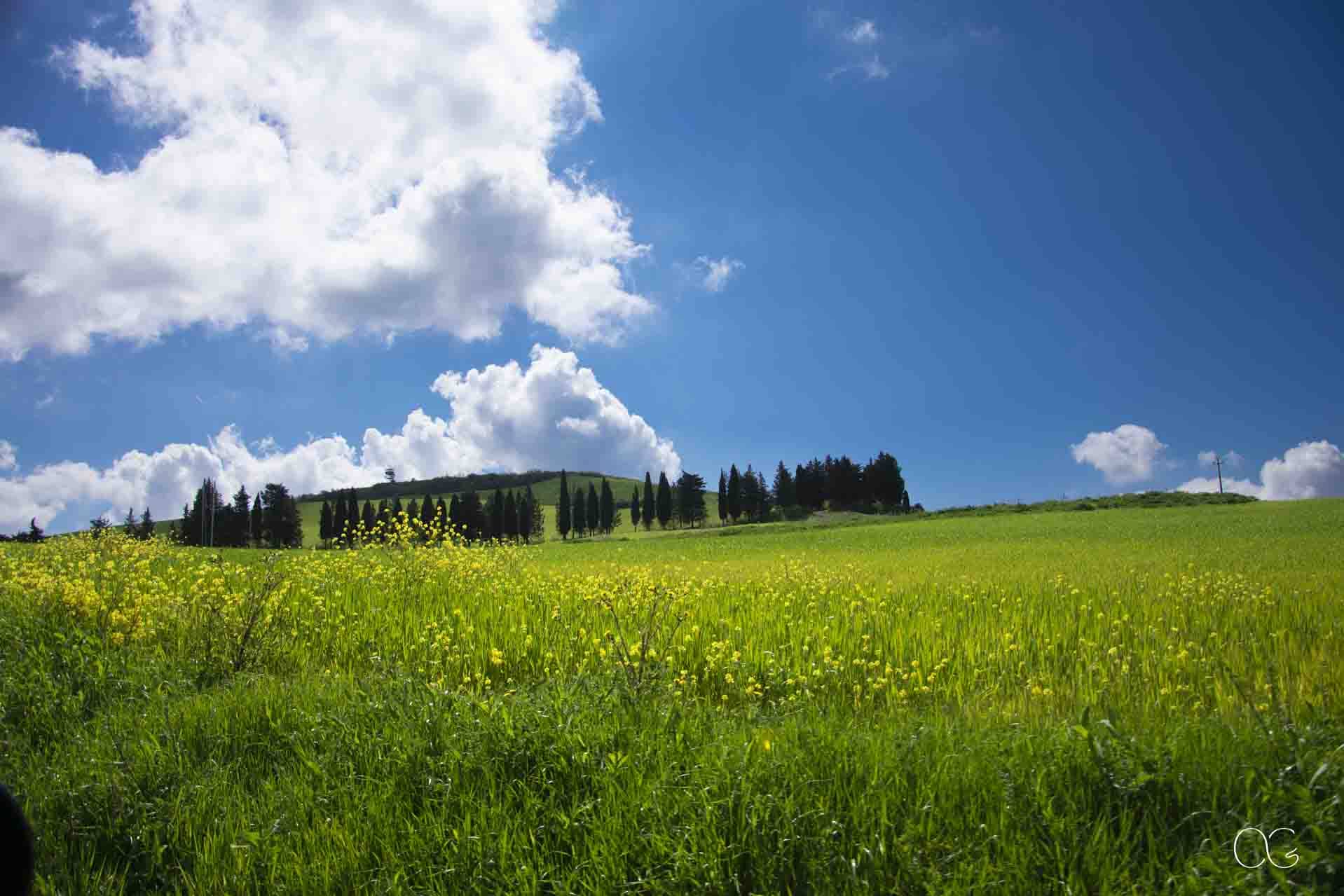 Printemps toscan